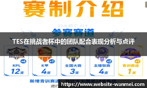 TES在挑战者杯中的团队配合表现分析与点评